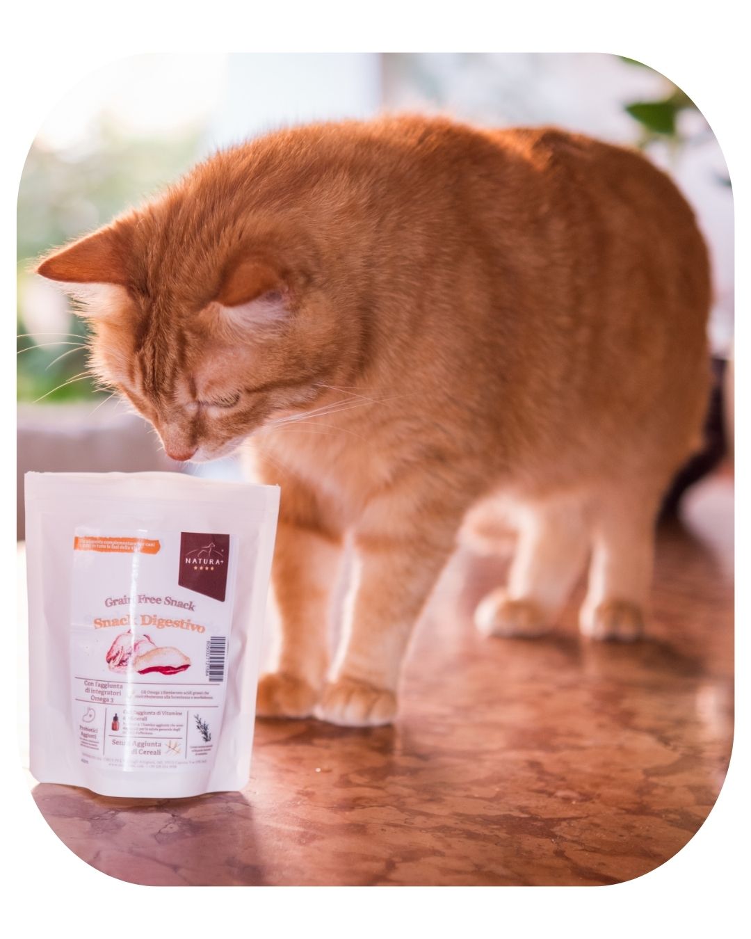 Cat Snacks